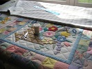 Amish Quilting