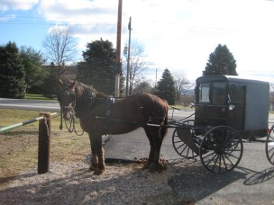 Quilts From the Heart of Amish Country