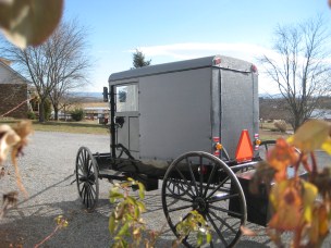 AmishQuilter Amish Buggy