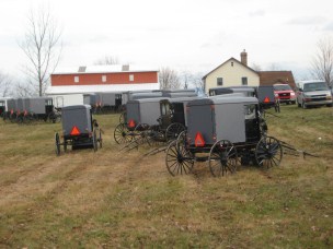 AmishQuilter Buggies