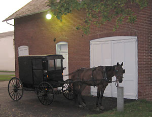aq-buggy5.jpg aq-buggy5.jpg