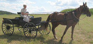 AmishQuilter Amish Girl with Buggy