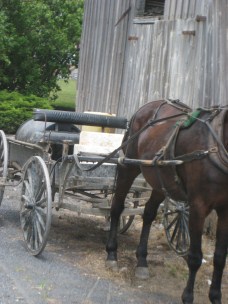 AmishQuilter Amish Buggy