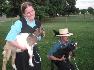 Amish Couple with Goats