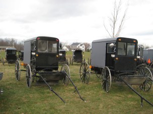 AmishQuilter Amish Buggy