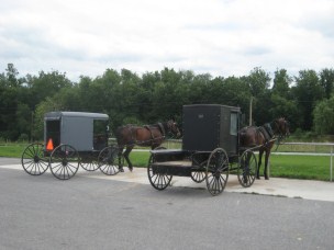 AmishQuilter Amish Buggy