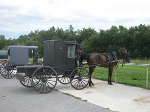 Amish Buggy