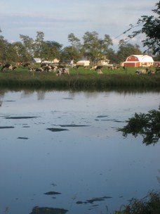 Amish Farm