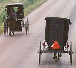 Amish Quilts - Amish Buggies