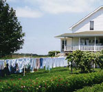 Amish Quilter - Amish Home by Galen Frysinger