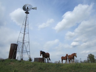 Amish Annie Windmill powered water pump