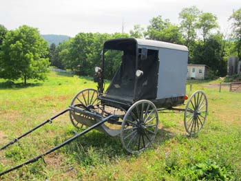 Amish Buggy