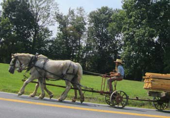 Amish Man