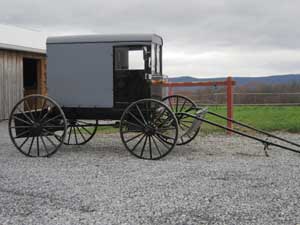 Amish Buggy