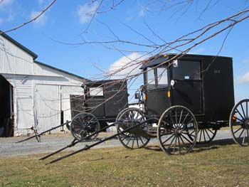 Amish Buggy