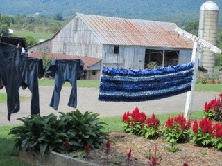 Amish Sarah's Laundry line and yard