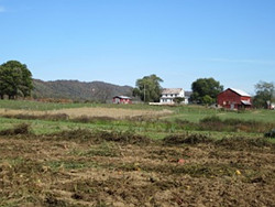 Amish Mary Farm Home