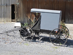 Amish Fannie Buggy