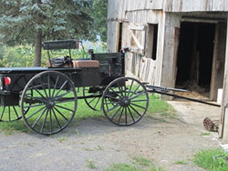 Amish Fannie Buggy