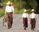 Amish Quilter - Amish Walking by Pat Little