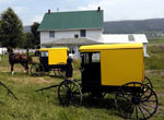 Amish Quilter - Yellow Amish Buggy